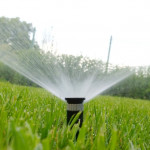 lawn yard water sprinkler turned on.jpg