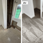 office flooring mold removal.png