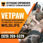 African Wildlife Conservation Group 5.jpg