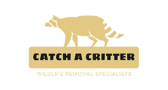 Catch A Critter LLC