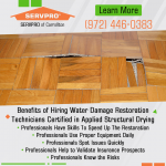 Servpro-Carrollton-May-2021-(1).png