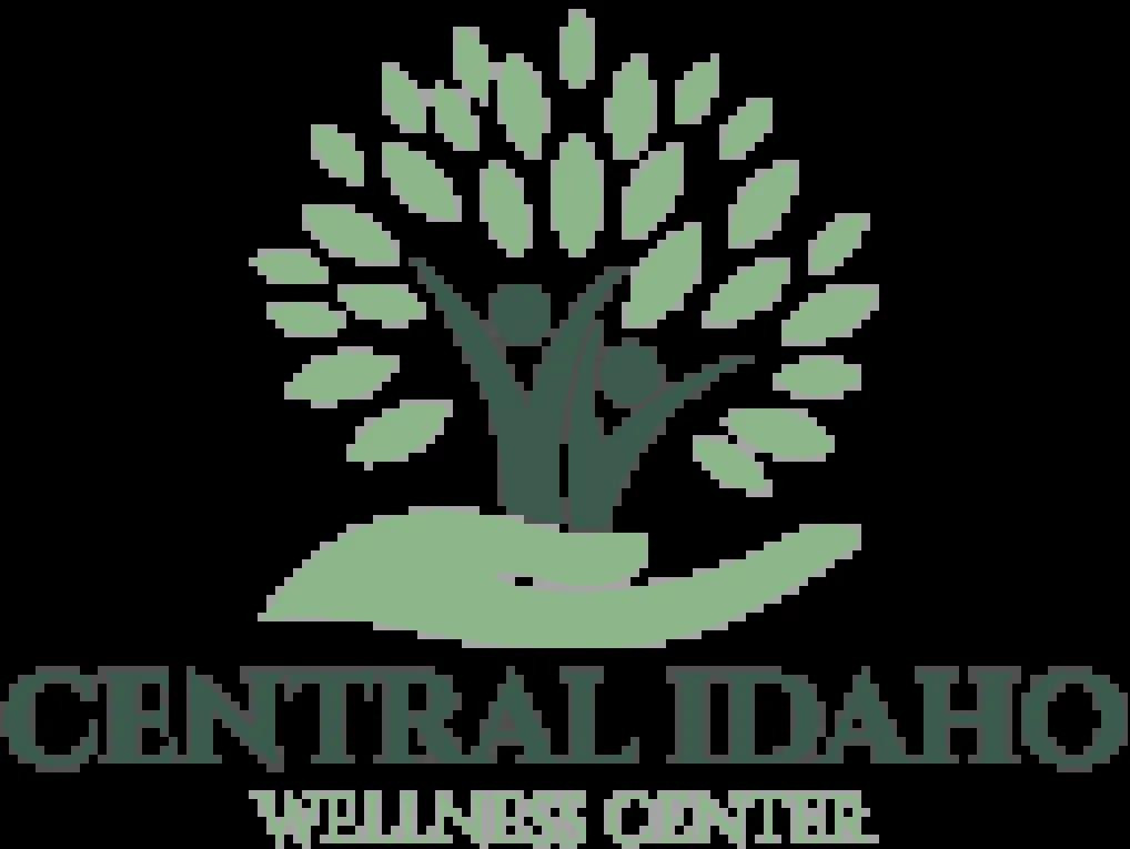Central Idaho Wellness Center