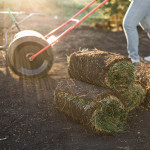 how to prepare lawn for sod.jpg