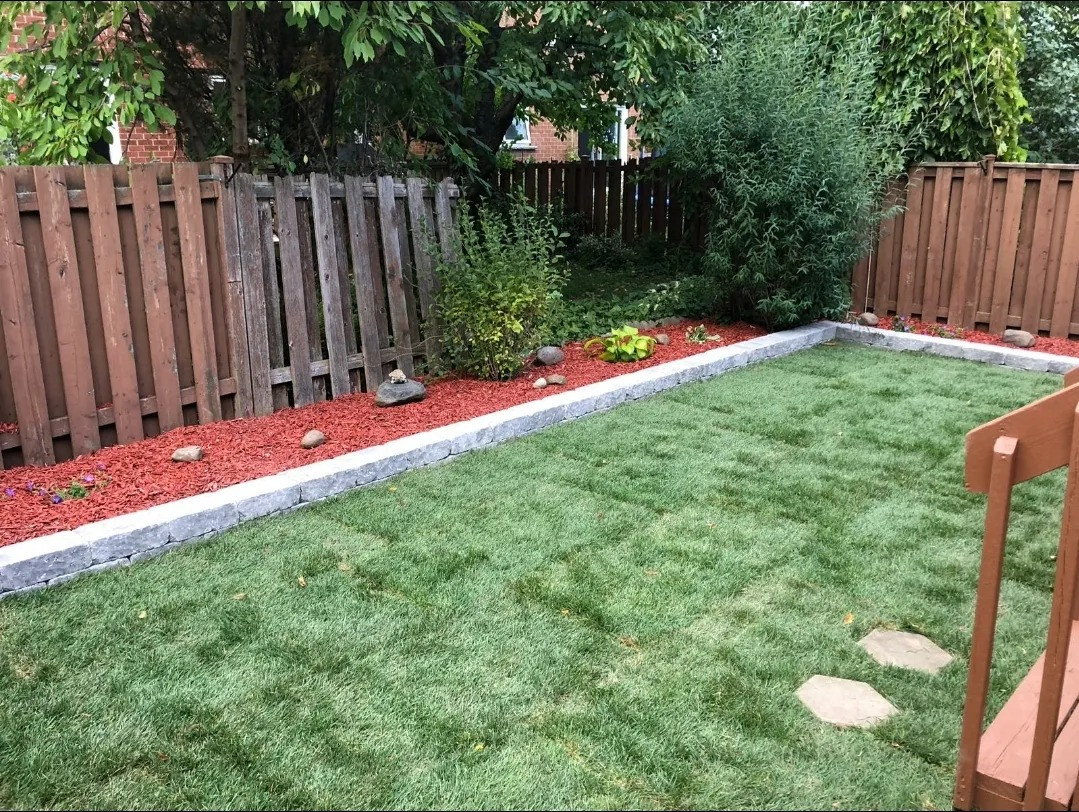 Evaluating the Cost and Value of Sod Installation in 2026