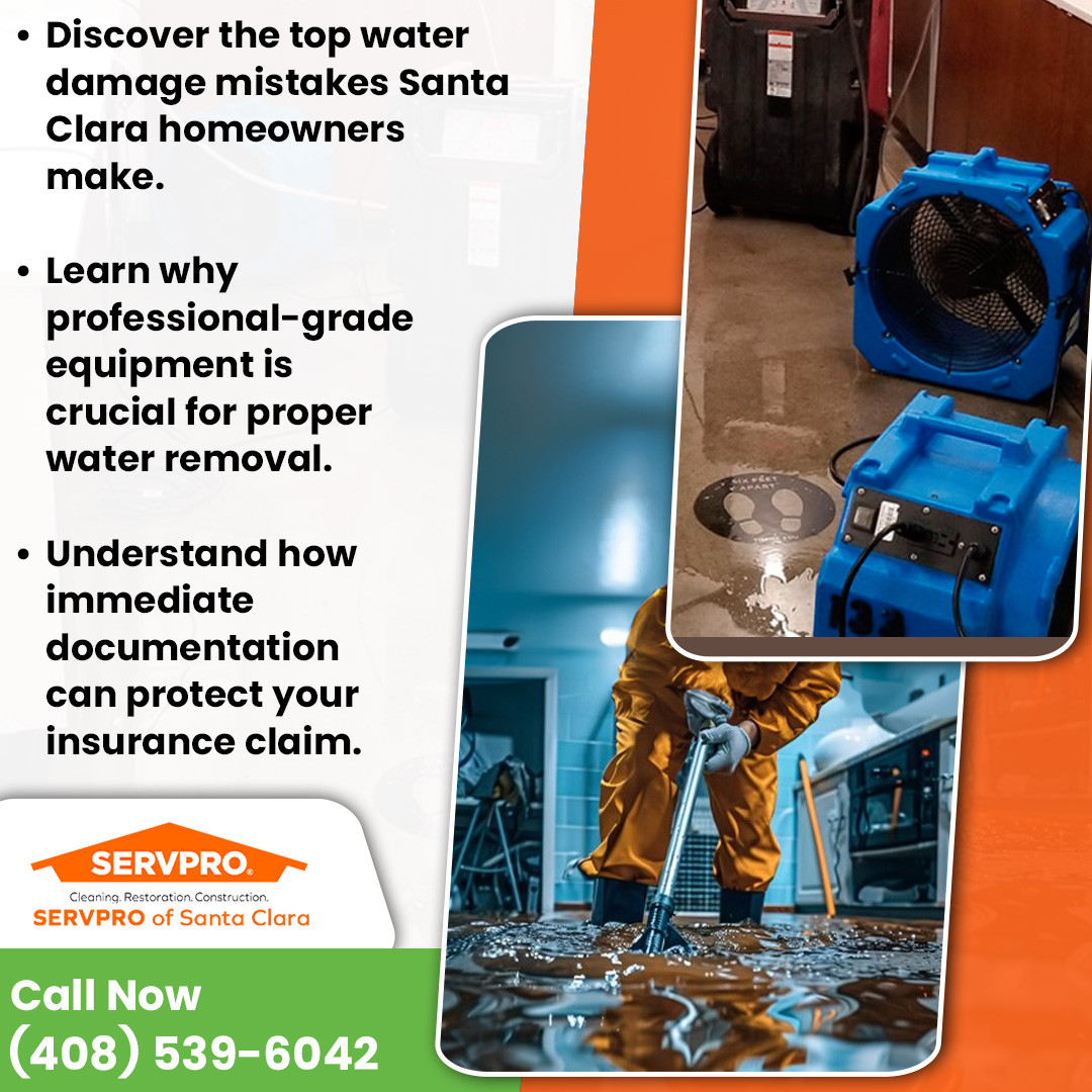 Professional Water Removl