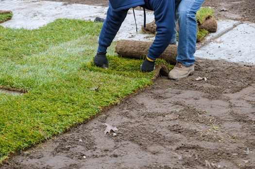 Homeowners Choose Daily Landscaping for Premium Sod in Butler County