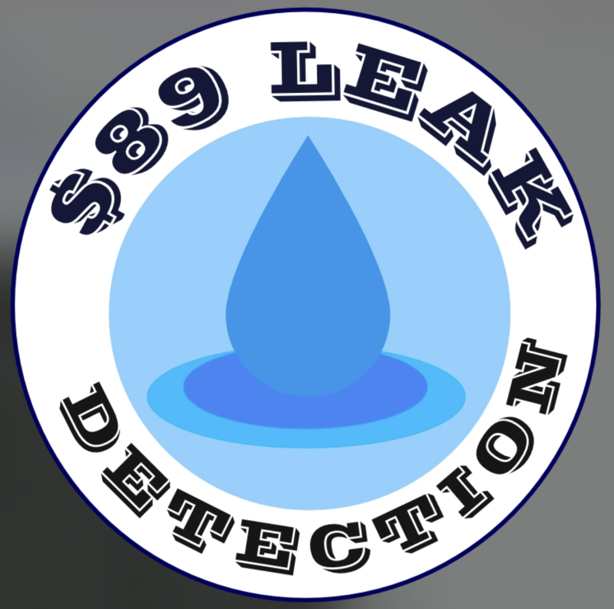 89 Leak Detection