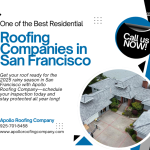 residential roofing companies in San Francisco.png