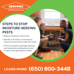 SERVPRO of Palo Alto Graphic 2 (1).png
