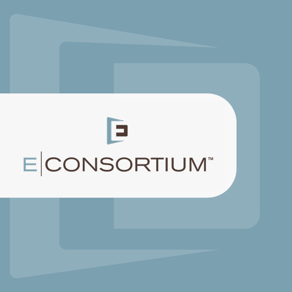 EConsortium - Houston Managed IT Services Provider