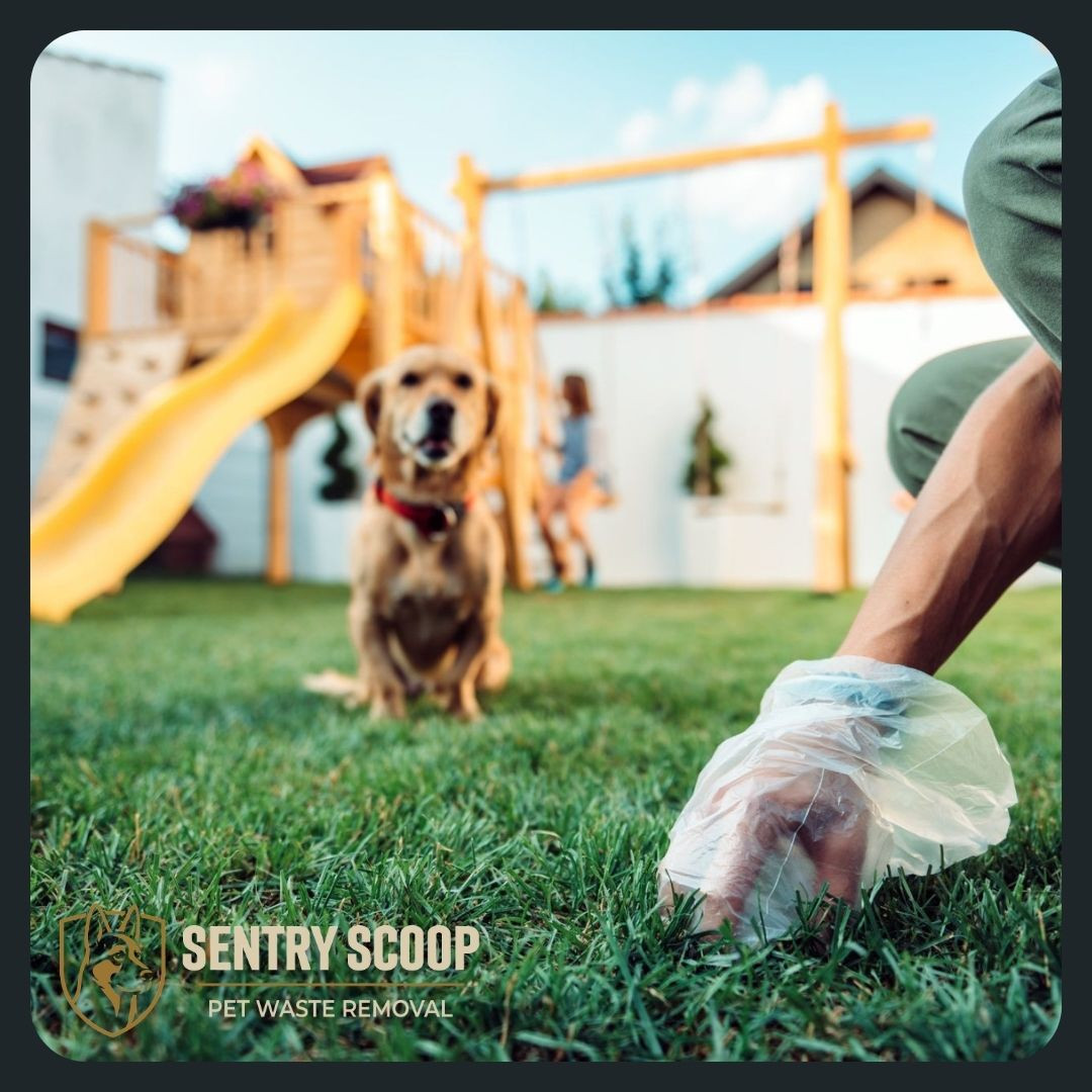 person picking dog waste in a park