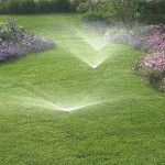 How We Helped One Indy Homeowner Tame Clay Soil and Beat the Heat with Sprinklers.jpg