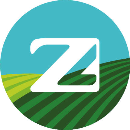 Zazueta Landscape