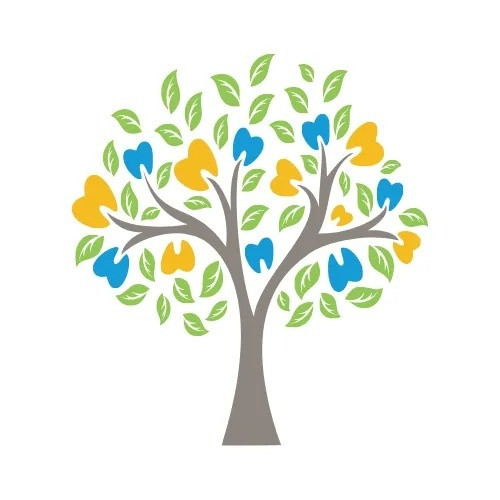 St. Johns Orthodontics