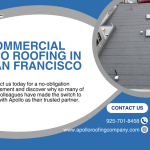Commercial TPO roofing solutions in San Francisco.png