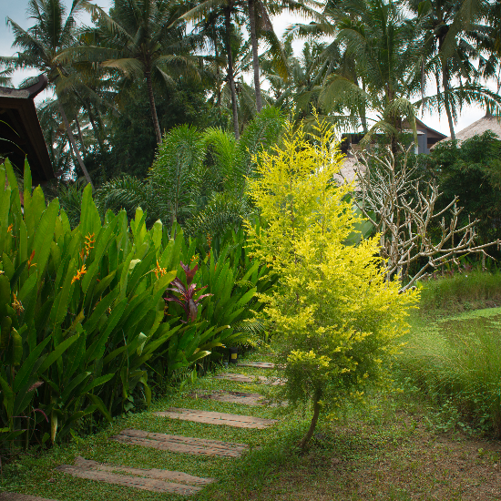 Elias Landscaping Inc.: Hollister’s Trusted Landscaping Professionals