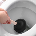 cloggedtoilets.png