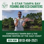 Fish-This-Inshore-Charters-Image-1.jpg