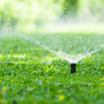 Automatic Garden Lawn sprinkler.jpg