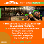 Hurst-0922-(6).png