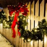 holidaylights.jpg